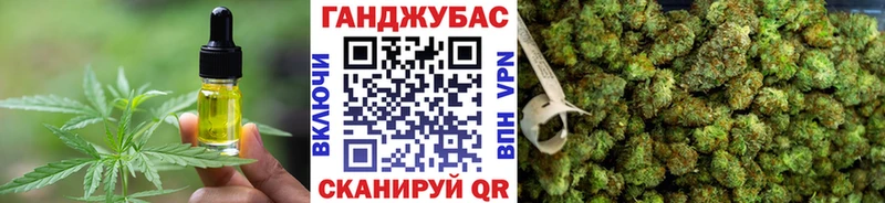 где можно купить наркотик  Наволоки  Еда ТГК марихуана 